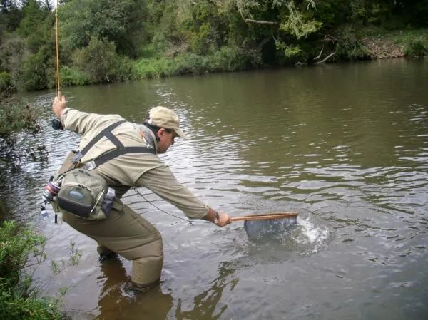 User submitted picture: Netting the trout!