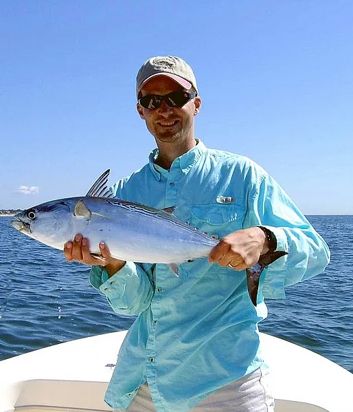 User submitted picture: False albacore caught fro...