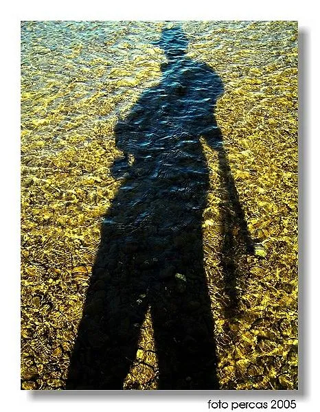 User submitted picture: My shadow
