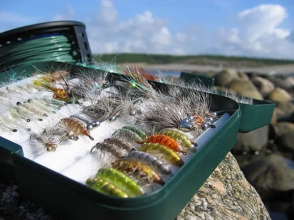 User submitted picture: The Magnus, and a couple ...