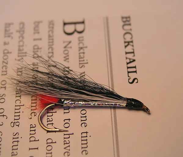 User submitted picture: Longnose Dace