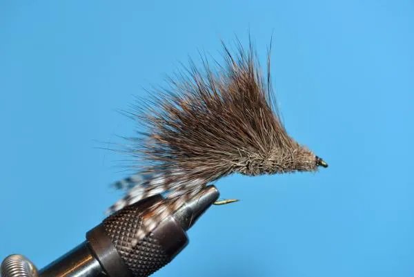 User submitted picture: mouse