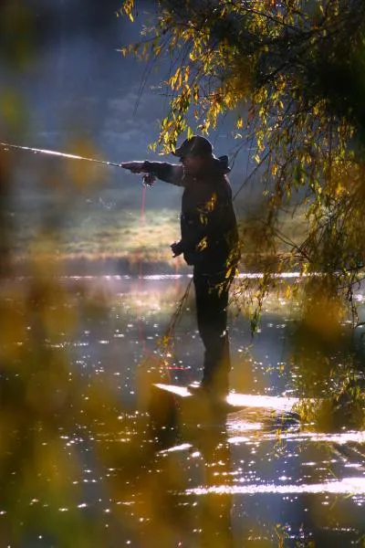 User submitted picture: The joy of the perfect ca...