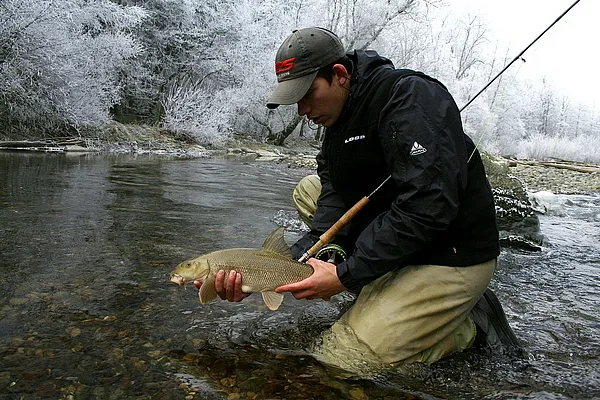 User submitted picture: Nice barb caught on tungs...
