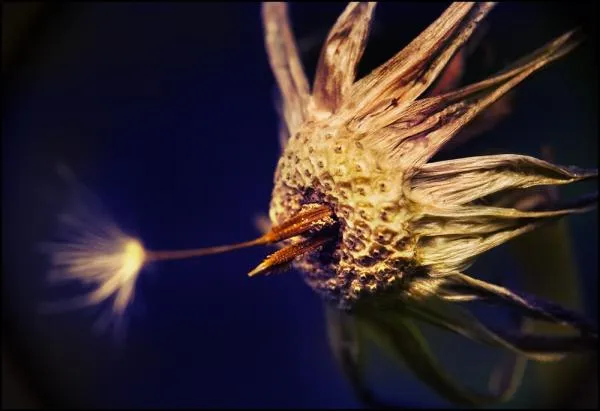 User submitted picture: ***