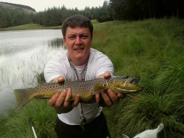 User submitted picture: wild brown trout!! the lo...