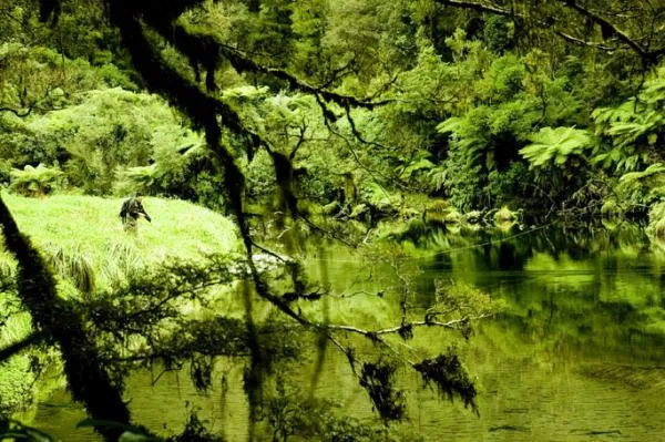 User submitted picture: Green impression-West coa...