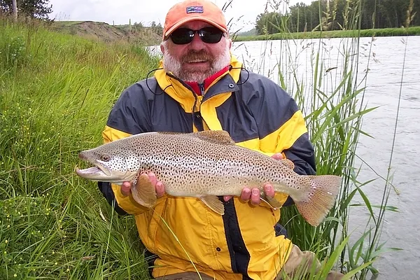 User submitted picture: A BIG Bow River Brown cau...