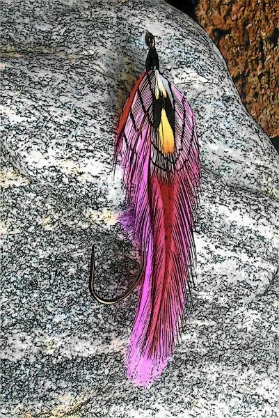 User submitted picture: A Streamer