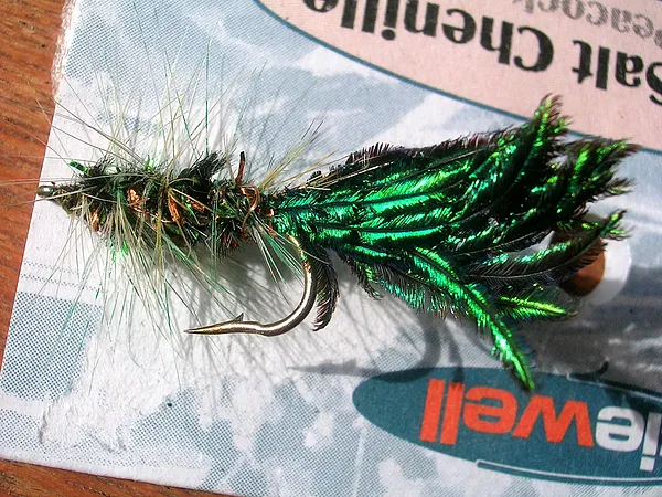 User submitted picture: Wooly Bugger variant with...