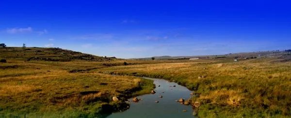 User submitted picture: Shooting with camera a...